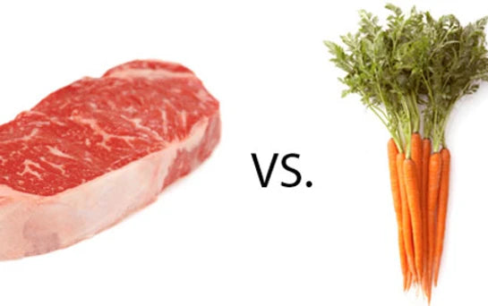 Why Your Dog Should Never Be a Vegetarian: Debunking the Myths