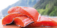 Dog Food Advice: What to Feed and What Not to Feed