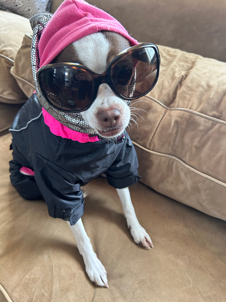 Sophie Goes Snowmobiling