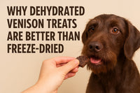 Why Dehydrated Venison Treats Are Better Than Freeze-Dried