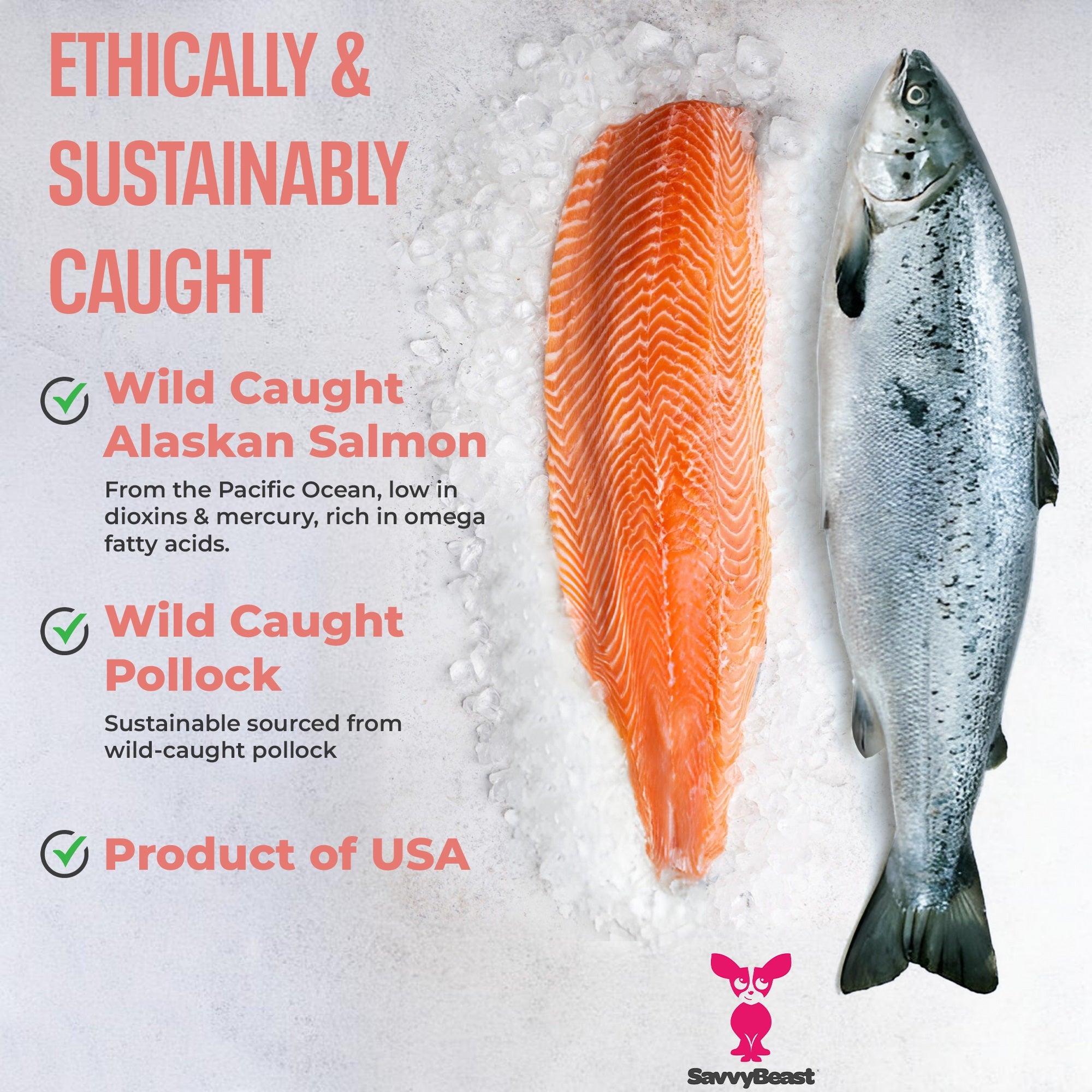 Omega-3 Pollock and Salmon Oil 32 oz bottle