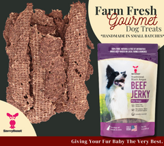 Black Angus Beef Jerky for Dogs 16oz Bag