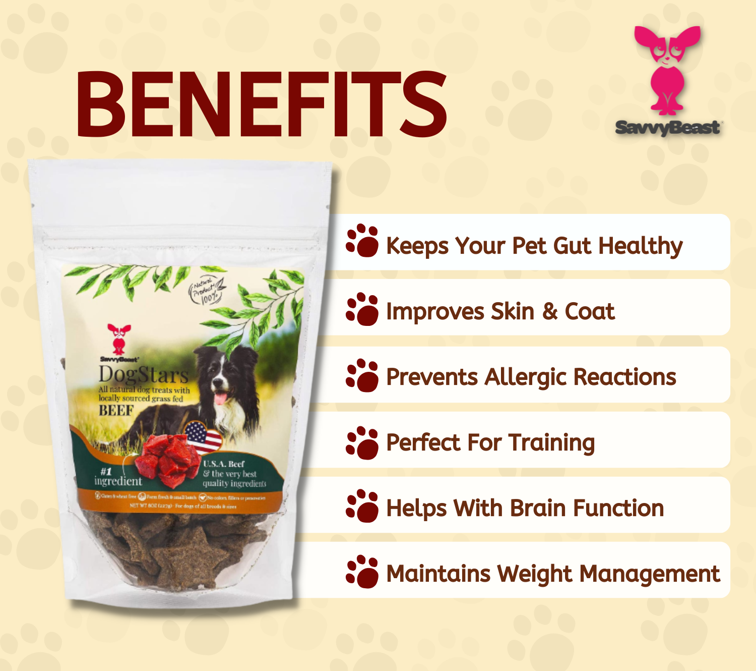 Donate Treats to a Shelter Dog With DogStars