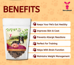 Chicken DogStars Premium Natural Treats 8 oz