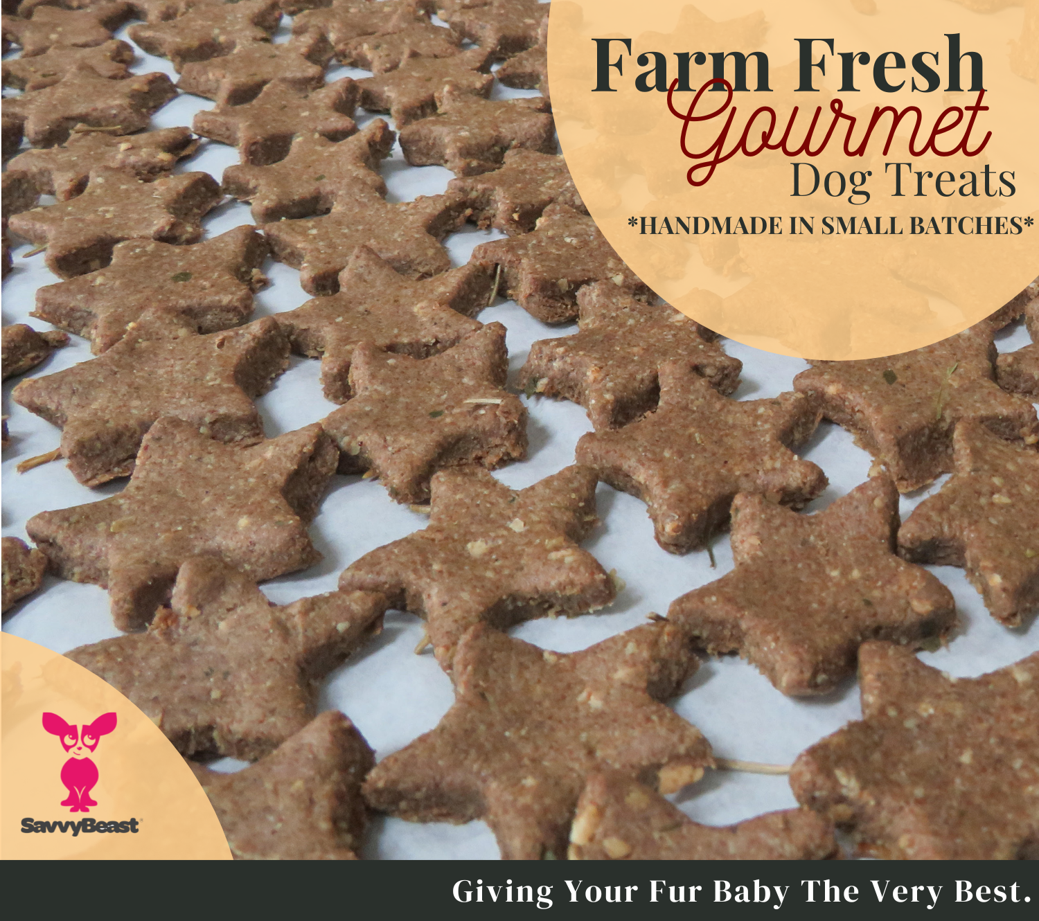 Chicken DogStars Premium Natural Treats 8 oz