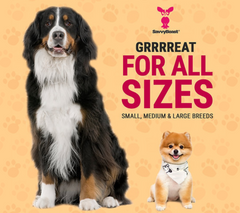 Wild Alaskan Salmon Oil For Dogs, Cats & Ferrets