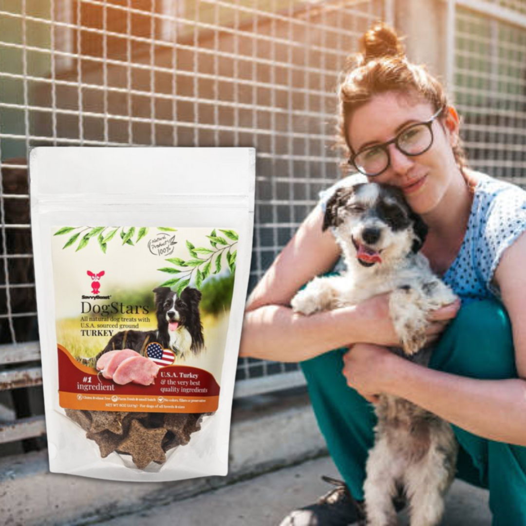 Donate Treats to a Shelter Dog With DogStars