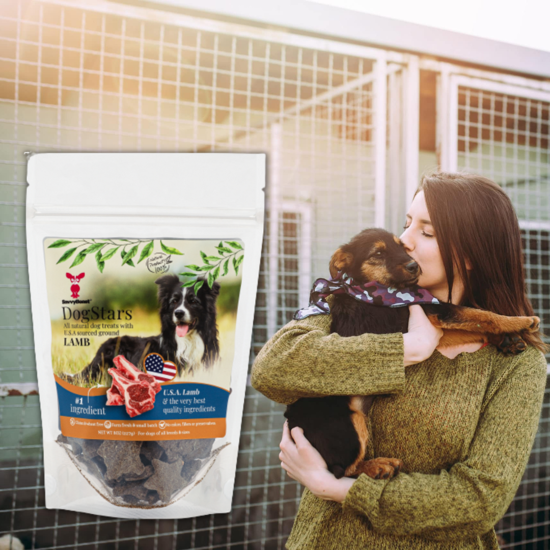Donate Treats to a Shelter Dog With DogStars