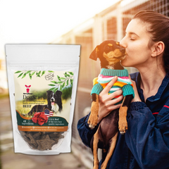 Donate Treats to a Shelter Dog With DogStars