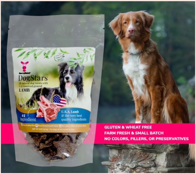 Donate Treats to a Shelter Dog With DogStars