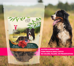 Donate Treats to a Shelter Dog With DogStars