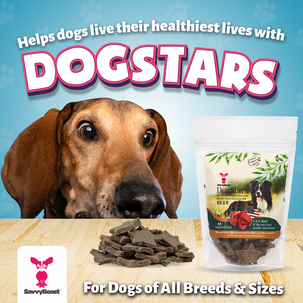 Why DogStars Are So Healthy