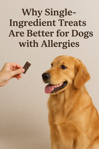 Why Single-Ingredient Treats Are Better for Dogs with Allergies