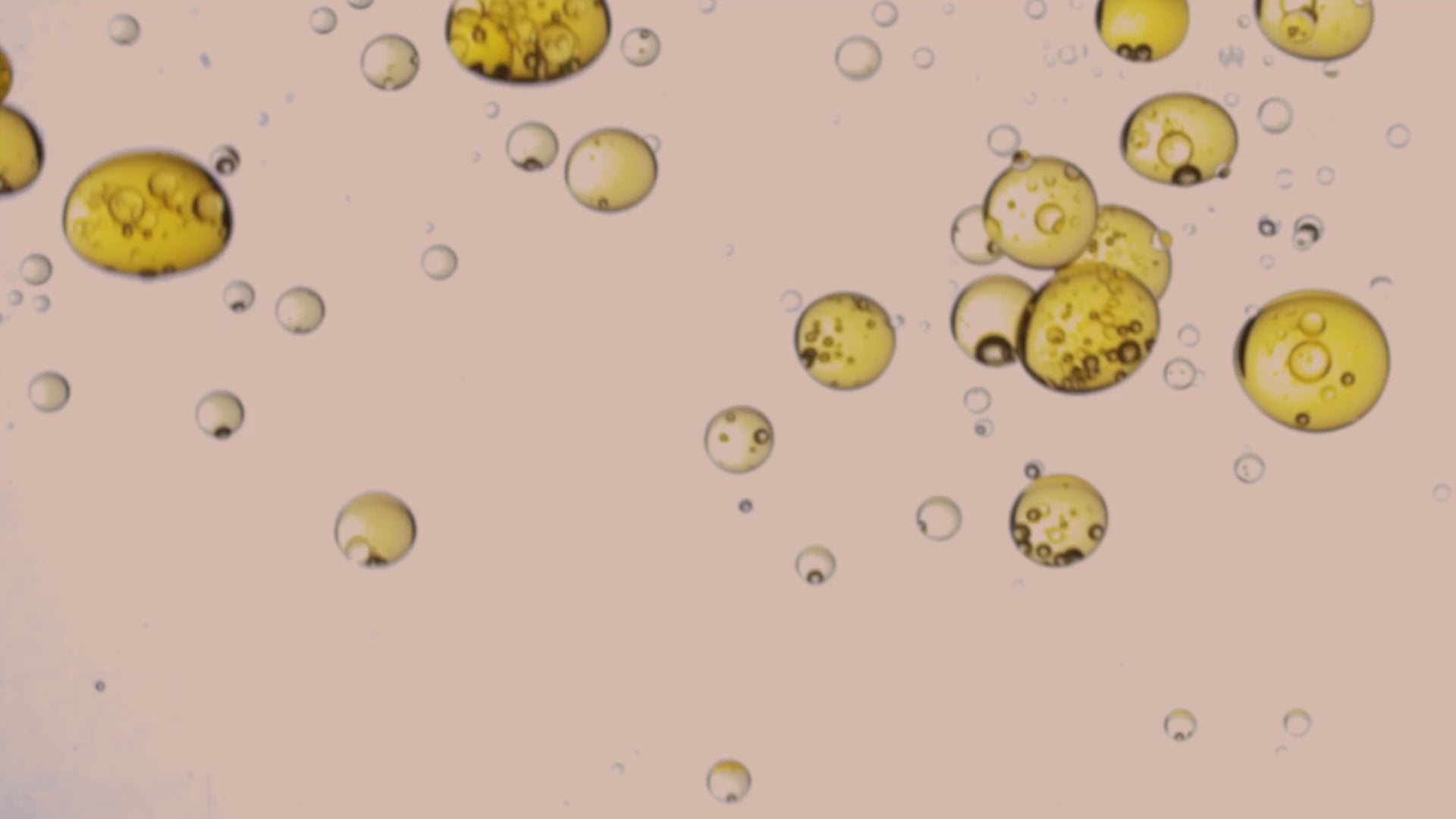 Wild Alaskan Salmon Oil For Dogs, Cats & Ferrets