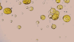Wild Alaskan Salmon Oil For Dogs, Cats & Ferrets