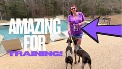 Venison Treats for Dogs – 5 oz - 100% Dehydrated Venison, Nothing Else!