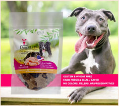 Donate Treats to a Shelter Dog With DogStars